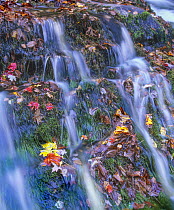 Cascade, Laurel Creek, Great Smoky Mountains National Park, Tennessee