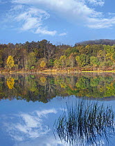 Lackawanna Lake, Lackawanna State Park, Pennsylvania