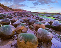 Round boulders, mudstone concretions, Bowling Ball Beach, California