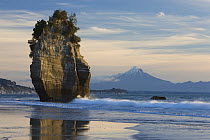 Sea stack on beach with Mount Taranaki, New Zealand
