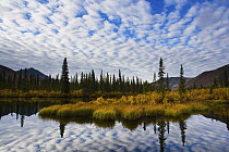 Clouds reflected in lake, Ogilvie Mountains, Yukon, Canada