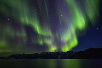 Northern lights, Scoresby Sund, Greenland