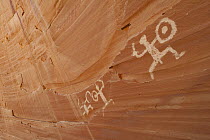 Petroglyphs, Defiance House, Lake Powell, Glen Canyon National Recreation Area, Utah