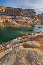 Sandstone rock formations, Last Chance Canyon, Lake Powell, Glen Canyon National Recreation Area, Utah