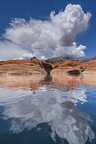 Cumulus clouds over sandstone, Lake Powell, Glen Canyon National Recreation Area, Utah
