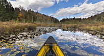 Canoe crossing pond with lily pads in autumn, Vermont