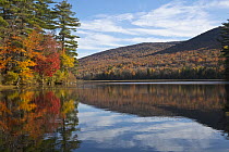 Deciduous forest and pond in autumn, Lefferts Pond, Vermont