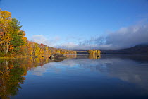 Deciduous forest and reservoir in autumn, Chittenden Reservoir, Vermont