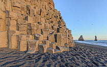 Coastal cliff made of basalt columns and sea stacks, Vik, Iceland