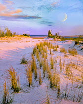 Moon over coast, Little Talbot Island State Park, Florida, digital composite