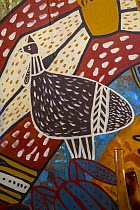 Southern Cassowary (Casuarius casuarius) artwork, Queensland, Australia