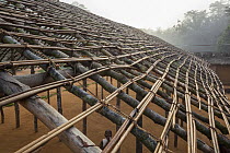 Roof construction, Kokolopori Bonobo Reserve, Democratic Republic of the Congo