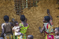 Villagers building house with mud, Kokolopori Bonobo Reserve, Democratic Republic of the Congo