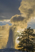 Geyser erupting, Old Faithful, Yellowstone National Park, Wyoming