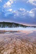 Hot spring, Grand Prismatic Pool, Midway Geyser Basin, Yellowstone National Park, Wyoming