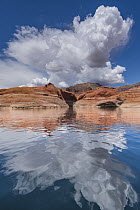 Cumulus clouds over sandstone, Lake Powell, Glen Canyon National Recreation Area, Utah