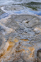 Geothermal runoff, Upper Geyser Basin, Yellowstone National Park, Wyoming