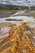 South Scalloped Spring and Firehole River, Upper Geyser Basin, Yellowstone National Park, Wyoming