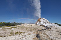 Geyser erupting with rainbow, Castle Geyser, Yellowstone National Park, Wyoming