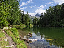 Lagh da Bitabergh Lake, Bergell, Alps, Switzerland