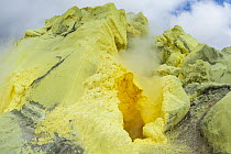 Sulfur mine, Sierra Negra, Isabela Island, Galapagos Islands, Ecuador