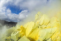 Sulfur mine, Sierra Negra, Isabela Island, Galapagos Islands, Ecuador