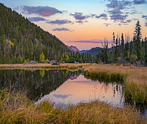 Mountains reflected in pond, Indian Peaks Wilderness, Colorado