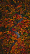 Car on road in driving through colorul autumn forest, Green Mountains, Vermont