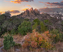 Mountains at dusk, Organ Mountains-Desert Peaks National Monument, New Mexico