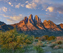 Mountains at dusk, Organ Mountains-Desert Peaks National Monument, New Mexico