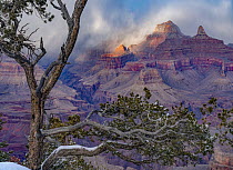 Grand Canyon from Maricopa Point, Grand Canyon National Park, Arizona