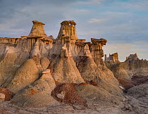 Eroded rock formations, Bisti Badlands, New Mexico