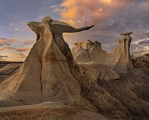 Rock formation, The Wings, Bisti Badlands, New Mexico