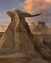 Rock formation, The Wings, Bisti Badlands, New Mexico