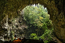 Explorer in cave, Temimina Cave, Petar State Park, Brazil