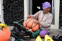 Haenyeo, a traditional fishing diver, tending to gear, Jeju Island, South Korea