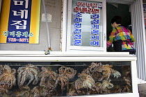 Octopuses in a seafood restaurant, collected by Haenyeo, a traditional fishing diver, Jeju island, South Korea