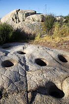 Indigenous mortar rocks, California