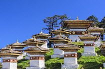 Seventeenth century fortress, Punakha, Bhutan