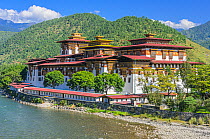 Seventeenth century fortress, Punakha, Bhutan