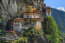 Cliffside monastery, Paro Taktsang, Bhutan