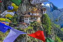 Cliffside monastery with prayer flags, Paro Taktsang, Bhutan