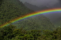 Rainbow over cloud forest, Baeza, Ecuador