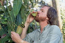 Mark Moffett drinks nectar from a Villose Pitcher Plant (Nepenthes villosa), Borneo