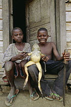 Goliath Frog (Conraua goliath) held by two boys, Ghana