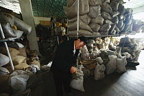 Man looks at folk medicines stocked in a pharmacy such as dried monkey blood, ground deer horn and insects, Kangding, China