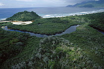 Showing the coastal forest of Ilha Grande Island, Atlantic Forest ecosystem, Brazil