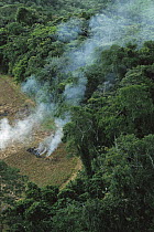 A farmer burns his agricultural field after harvesting the crop in a clearcut area in the forest, Usina Serra Grande, Atlantic Forest, Brazil