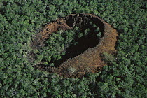 Aerial view of tree-covered crater, San Cristobal Island, Galapagos Islands, Ecuador