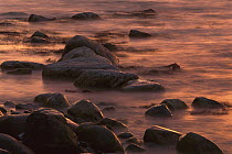 Morning sun reflecting in rocky water, Jasmund National Park, Ruegen, Germany